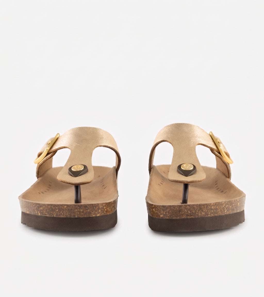 EIAZO_Fuji_ladies_Gold